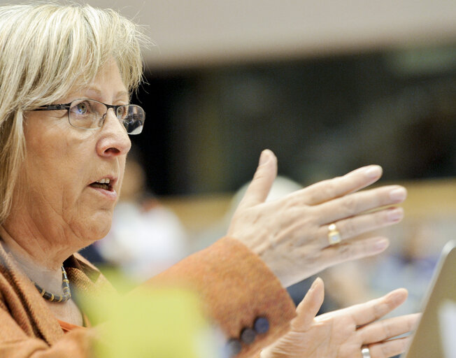 Fotografia 14: JURI Public Hearing The proposed Statute for a European Foundation