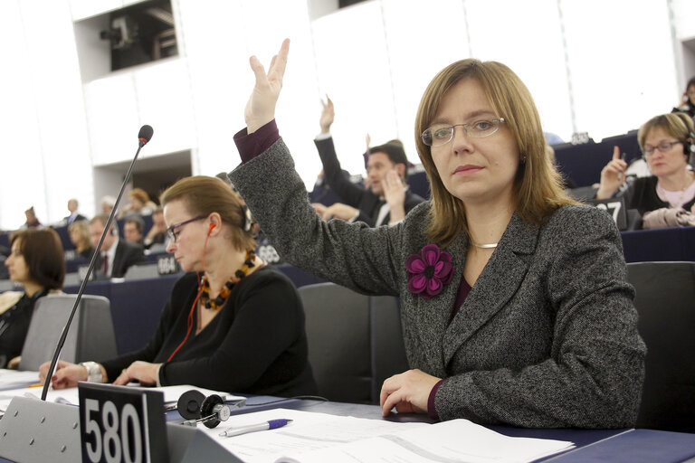 Nuotrauka 2: MEP Sidonia JEDRZEJEWSKA in Plenary session week 47 - 2012