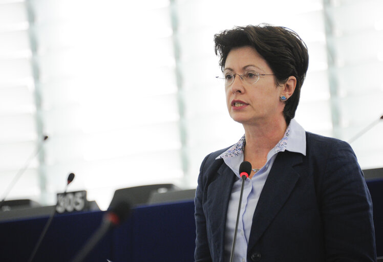 Plenary Session week 43 2012 in Strasbourg, EU strategy for the Danube region
