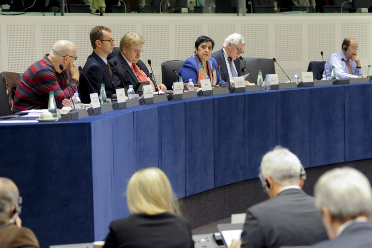 Fotografie 6: Committee on foreigns affairs. AFET committee meeting.