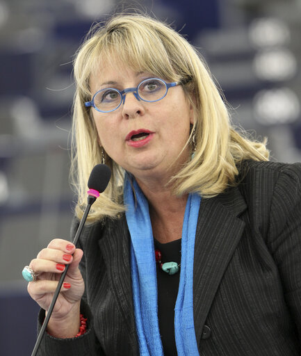 Fotografija 7: Plenary session week 47 - 2012 - Shale gas