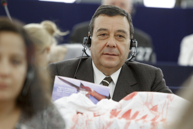 Fotografie 8: MEP Guido MILANA in Plenary Session in Strasbourg - Week 47