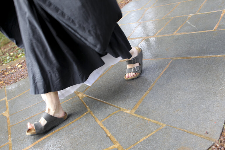 Photo 1 : Temple Zen Kosan Ryumon in Strasbourg