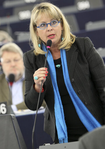 Plenary session week 47 - 2012 - Shale gas