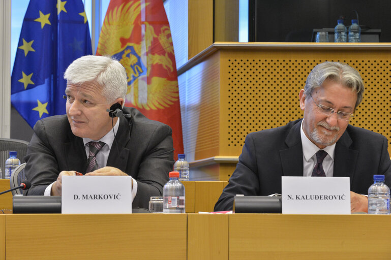 Suriet 17: 5th Meeting - EU-Republic of Montenegro. Stabilisation and Association Parliamentary Committee