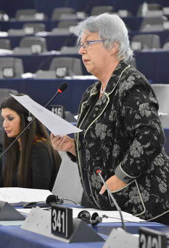 Foto 9: Plenary session week 47-2012 - Human rights situation in Iran, particularly mass executions and the recent death of sattar Beheshti