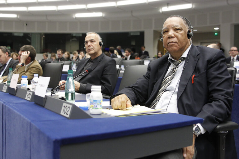 Fotografija 14: Committee on Foreign Affairs - AFET Committee meeting.  Exchange of views with the president of the republic of Haiti