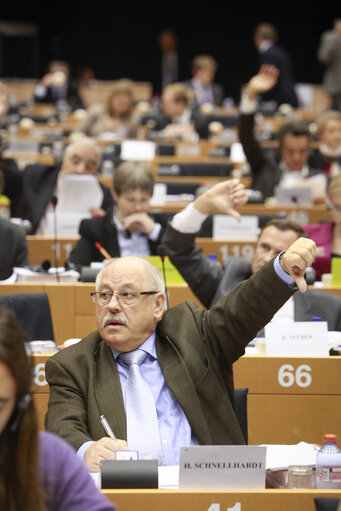 Foto 11: ENVI Committee. Non-commercial movement of pet animals - Vote on a regulation, report by Horst SCHNELLHARDT