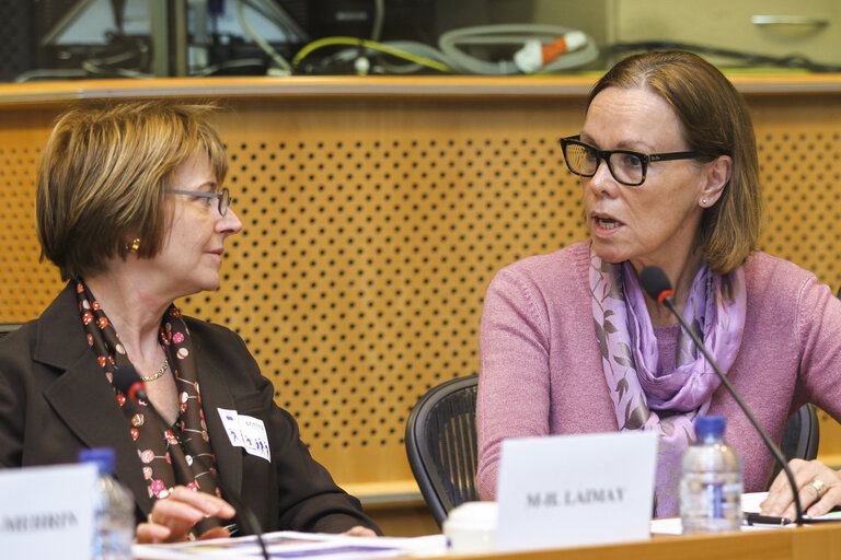 Φωτογραφία 8: ALDE roundtable on Quotas for the Boardroom: Perspectives and Experiences