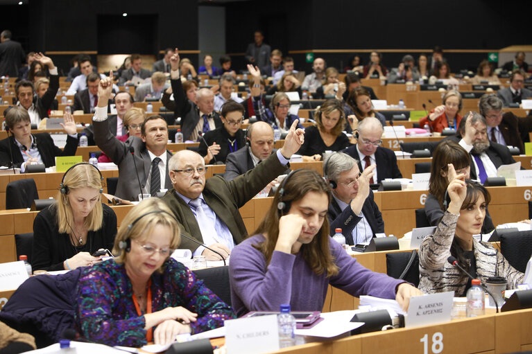 Foto 8: ENVI Committee. Non-commercial movement of pet animals - Vote on a regulation, report by Horst SCHNELLHARDT