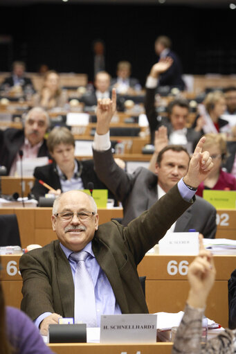 Foto 9: ENVI Committee. Non-commercial movement of pet animals - Vote on a regulation, report by Horst SCHNELLHARDT