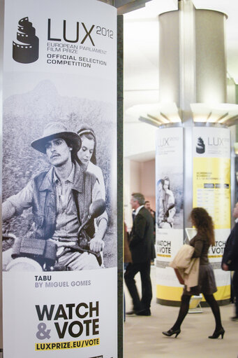 Fotografie 1: Lux Prize 2012 Poster in the European Parliament building