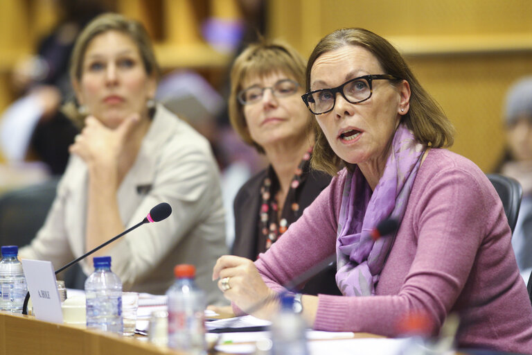 Φωτογραφία 5: ALDE roundtable on Quotas for the Boardroom: Perspectives and Experiences