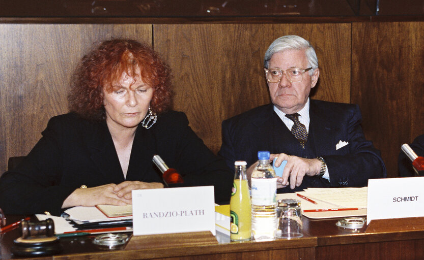 Commission meeting in the European Parliament in Brussels.