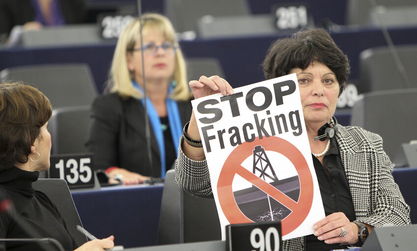 Plenary session week 47 - 2012 - Shale gas