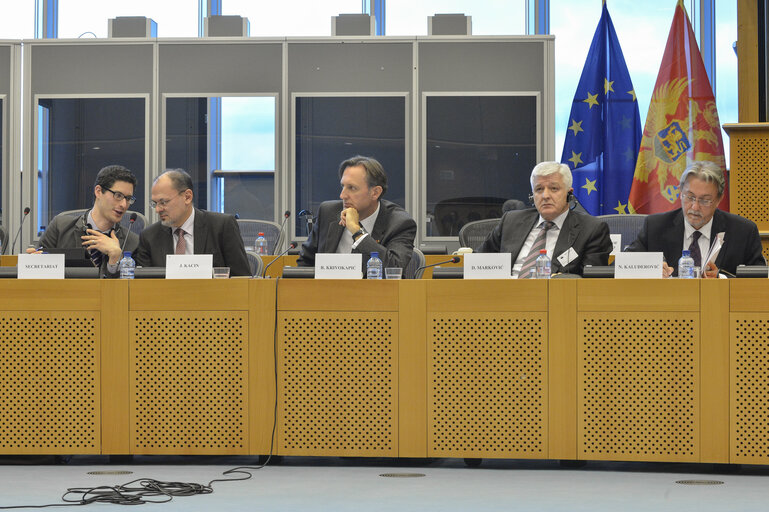 Suriet 11: 5th Meeting - EU-Republic of Montenegro. Stabilisation and Association Parliamentary Committee