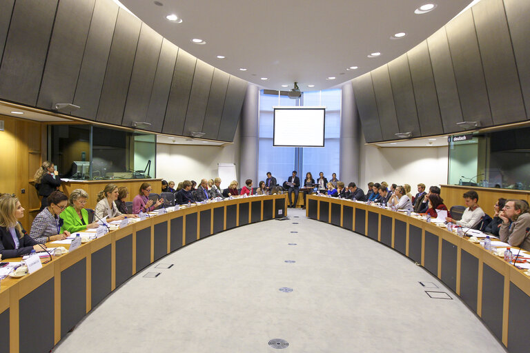 Φωτογραφία 1: ALDE roundtable on Quotas for the Boardroom: Perspectives and Experiences