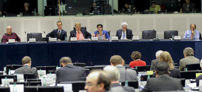 Fotografie 5: Committee on foreigns affairs. AFET committee meeting.