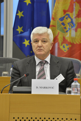 Suriet 24: 5th Meeting - EU-Republic of Montenegro. Stabilisation and Association Parliamentary Committee