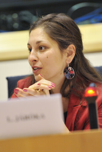 Foto 7: Protection of human rights and the situation of women and children