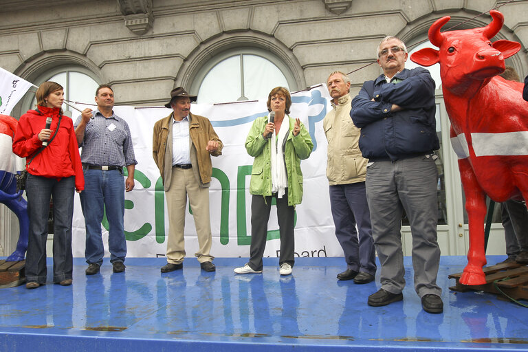 Fotografie 4: Milk producers of the European Milk Board protest in front of the European Parliament to draw attention to the pressing problems of the milk market.