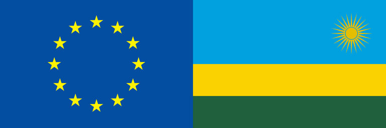 EU External Relation Flags