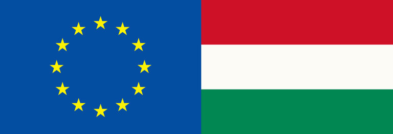 EU Member Flag