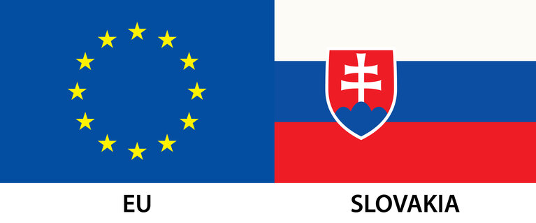 EU Member Flag