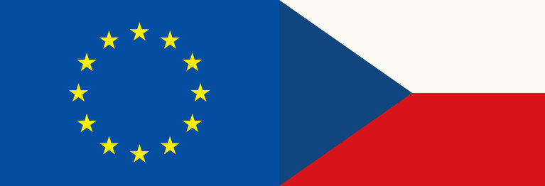 EU Member Flag