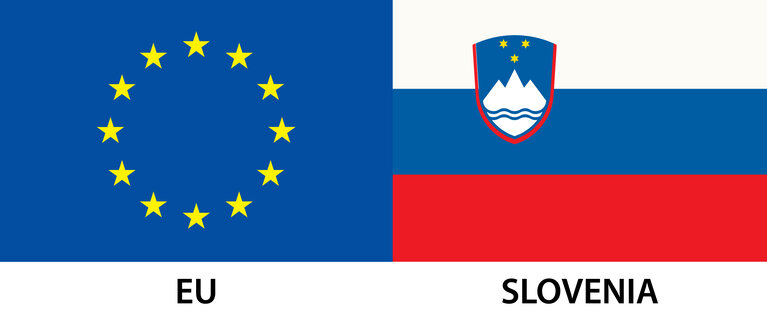 EU Member Flag