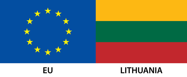 EU Member Flag