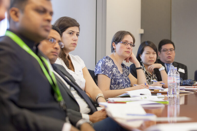 Global Emerging Voices' Programme, run by the German Marshall Fund