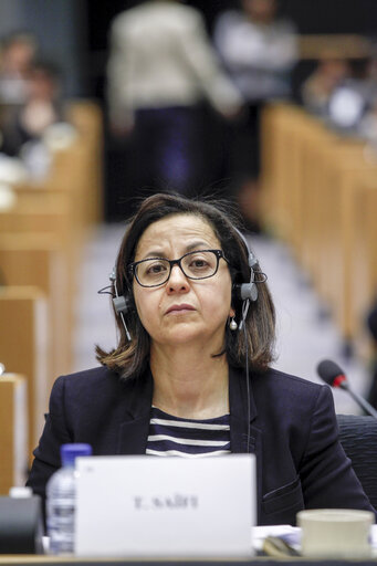 AFET committee meeting