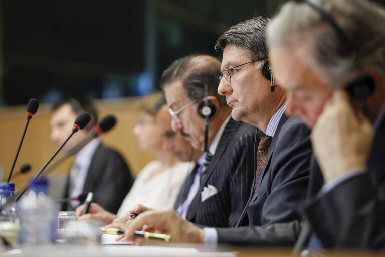 Foto 6: SEDE Committee Meeting: Academic reflections of the White Book on EU Security and Defense