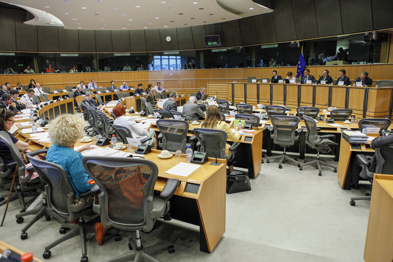 Foto 5: SEDE Committee Meeting: Academic reflections of the White Book on EU Security and Defense