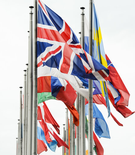 Fotografi 1: Flags in front of the European Parliament in Strasbourg