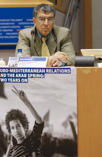 Foto 5: The situation of media in the countries of the Arab Spring