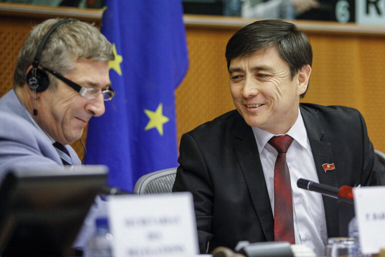 Fotografie 5: 9th Parliamentary Cooperation Committee EU-Kyrgyzstan