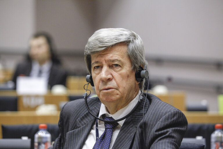 AFET committee meeting