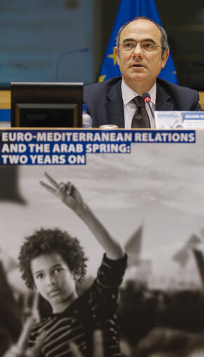 Foto 17: The situation of media in the countries of the Arab Spring