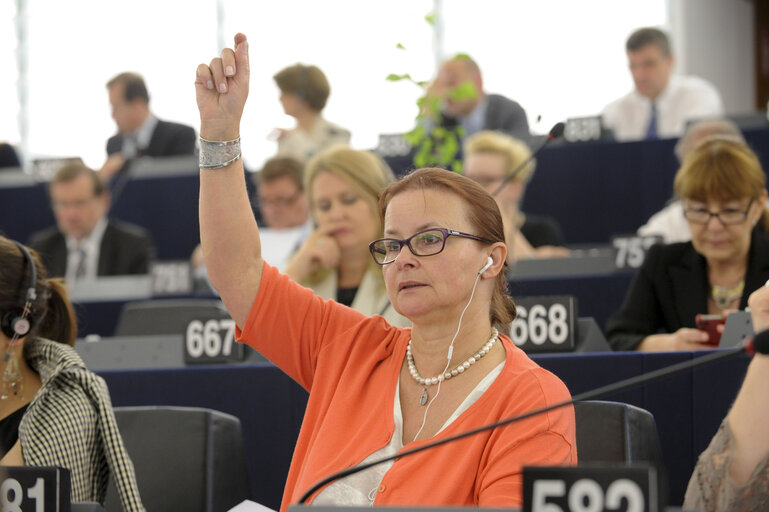 Photo 1 : MEP Danuta JAZOWIECKA in the hemicycle during plenary session week 24 2013