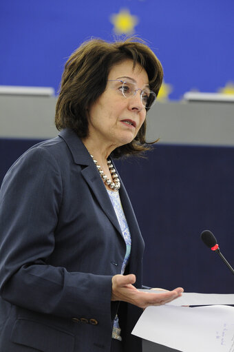 Снимка 19: Plenary Session week 24 2013 - Illegal, unreported and unregulated fishing