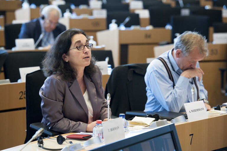 Fotografija 14: Audition of the candidates for the post of European Ombudsman.