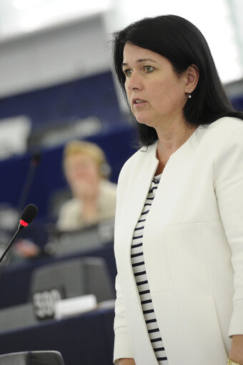 Plenary Session week 24 2013 - Annual report on competition policy