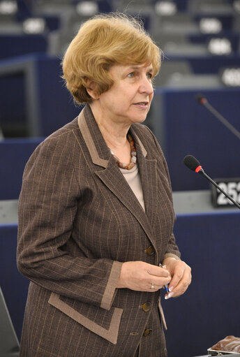 Fotografie 35: Plenary session week 24 - Schengen