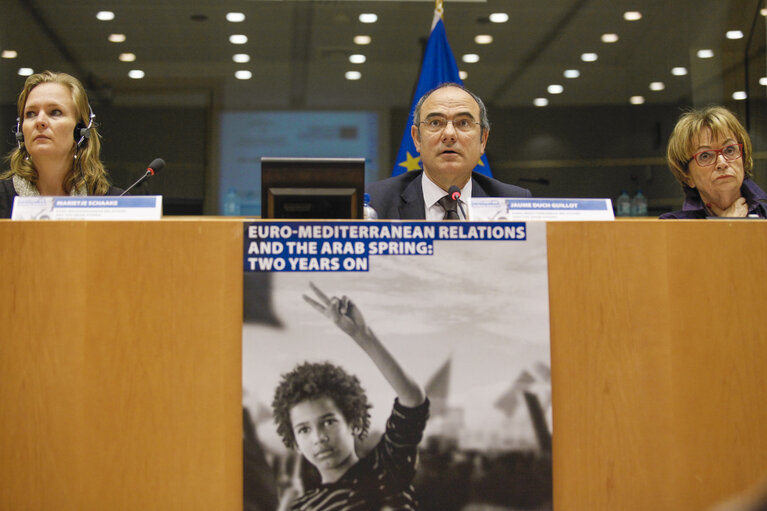 The situation of media in the countries of the Arab Spring