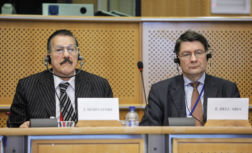 Foto 4: SEDE Committee Meeting: Academic reflections of the White Book on EU Security and Defense