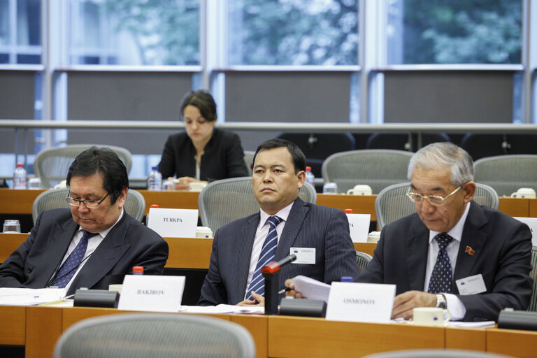 Fotografie 8: 9th Parliamentary Cooperation Committee EU-Kyrgyzstan