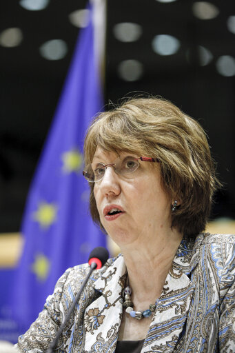 AFET committee meeting