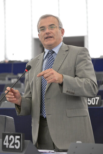 Fotografie 6: Plenary session in Strasbourg - Week 27  2013